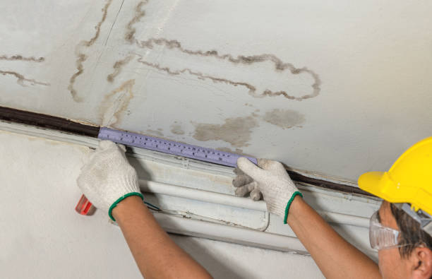 Reliable Water Damage contractor in Gillette, NJ by Water Damage Irwin